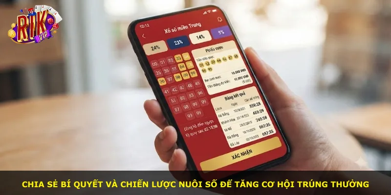 Chia sẻ bí quyết và chiến lược nuôi số để tăng cơ hội trúng thưởng