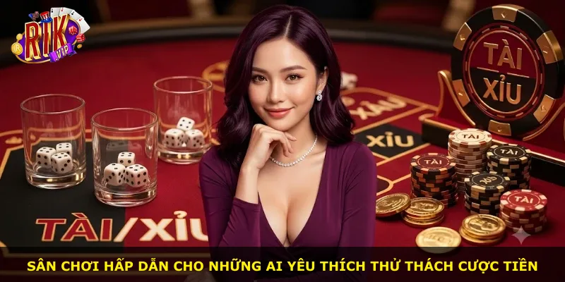 Sân chơi hấp dẫn cho những ai yêu thích thử thách cược tiền